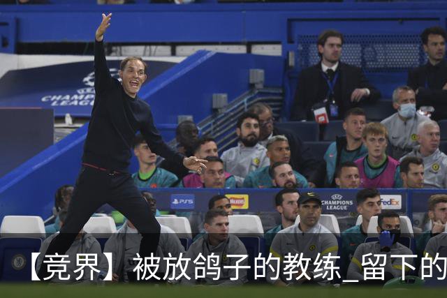 【竞界】被放鸽子的教练 留下的史诗名句