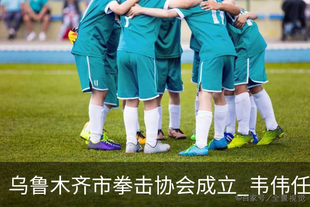 乌鲁木齐市拳击协会成立 韦伟任会长