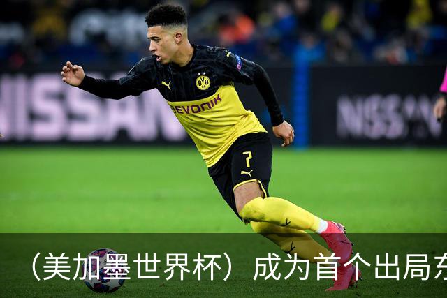 （美加墨世界杯）成为首个出局东道主后，加拿大带着突破与希望离开
